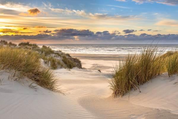 Holiday home Des Jaulaines, En Bord De - Ile De Re