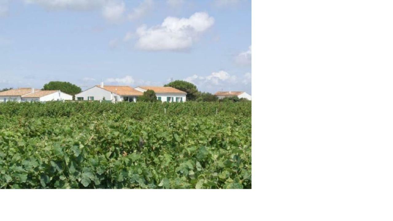 Des Jaulaines, En Bord De - Ile De Re Holiday home *